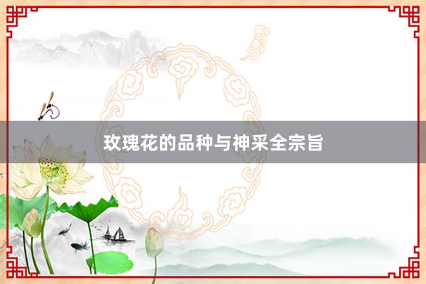玫瑰花的品种与神采全宗旨